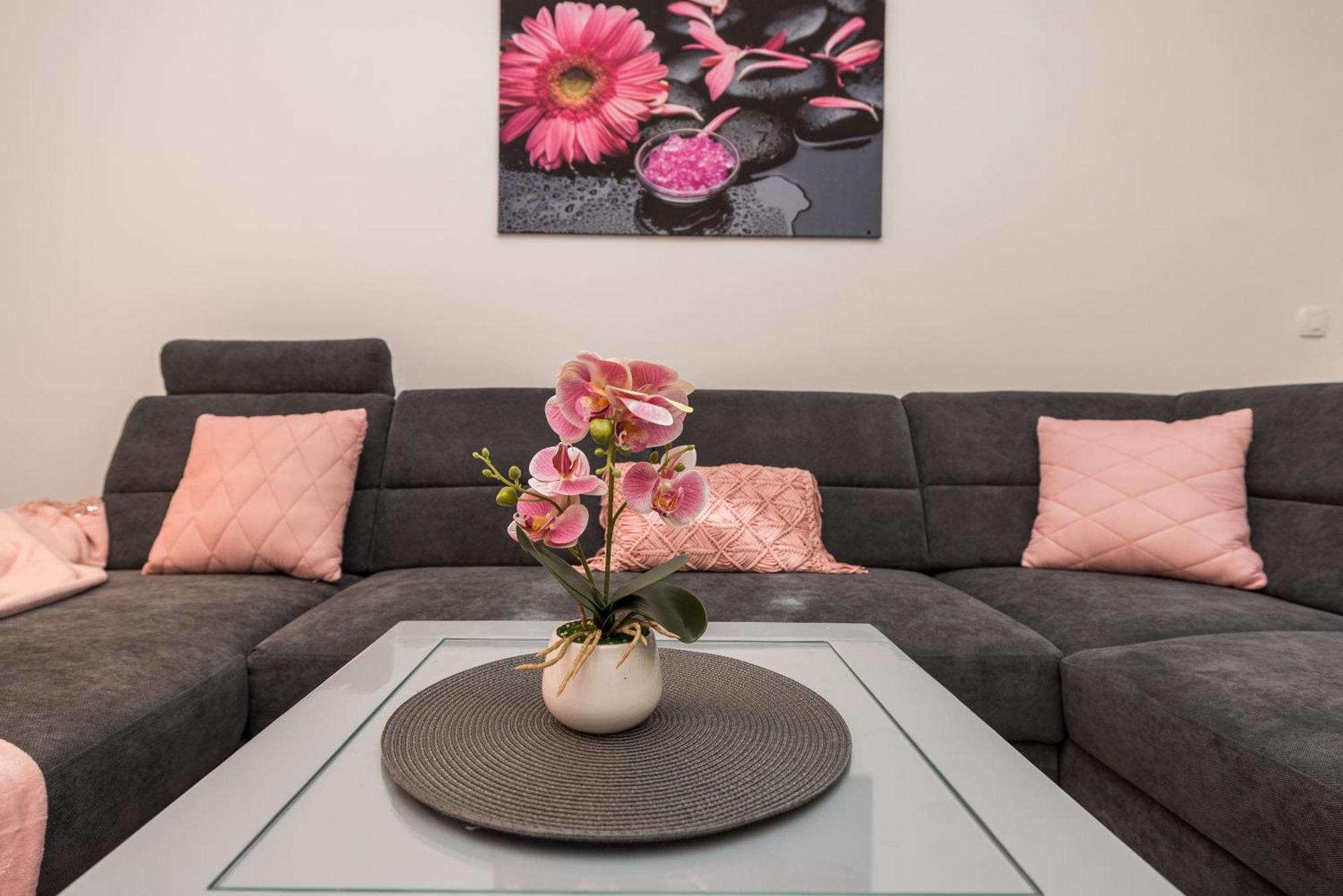 Villa Jana Luxury Apartments 诺瓦利娅 客房 照片